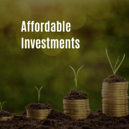 Affordable investments 